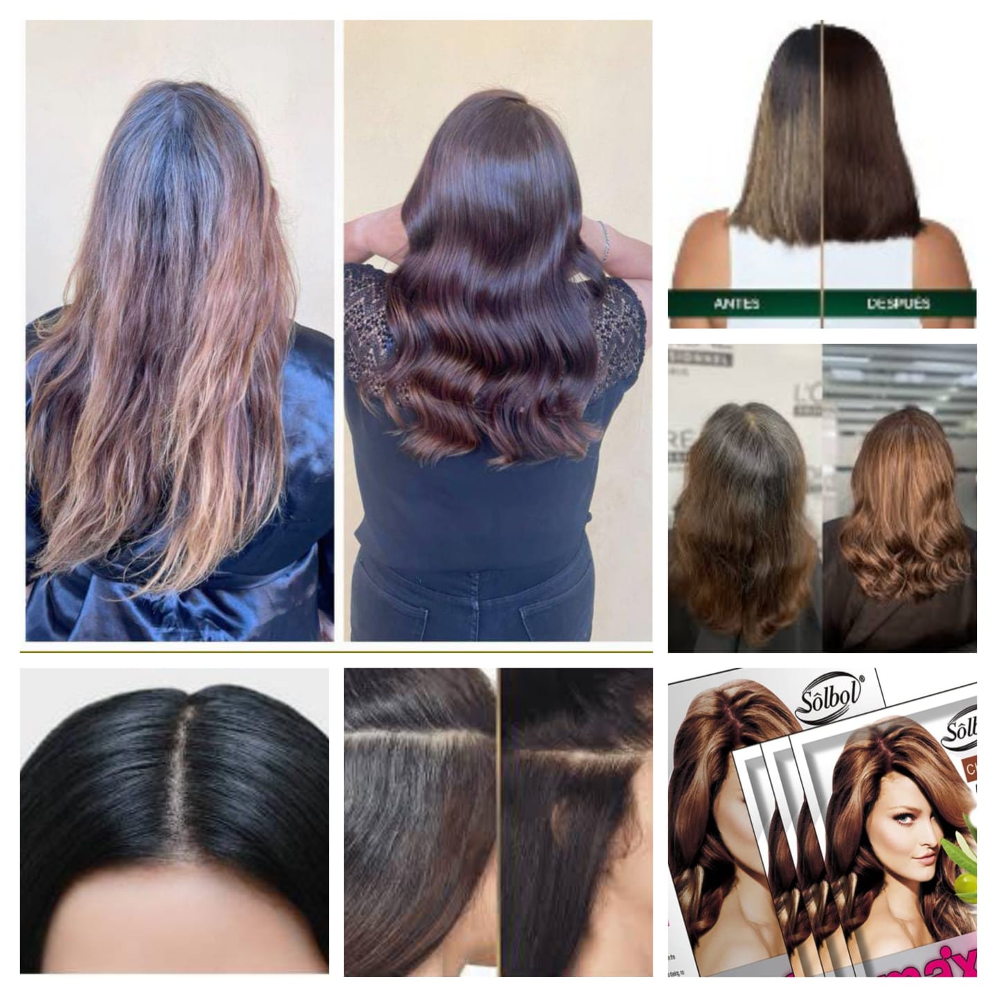 SHAMPOO CUBRE CANAS SACHETX10