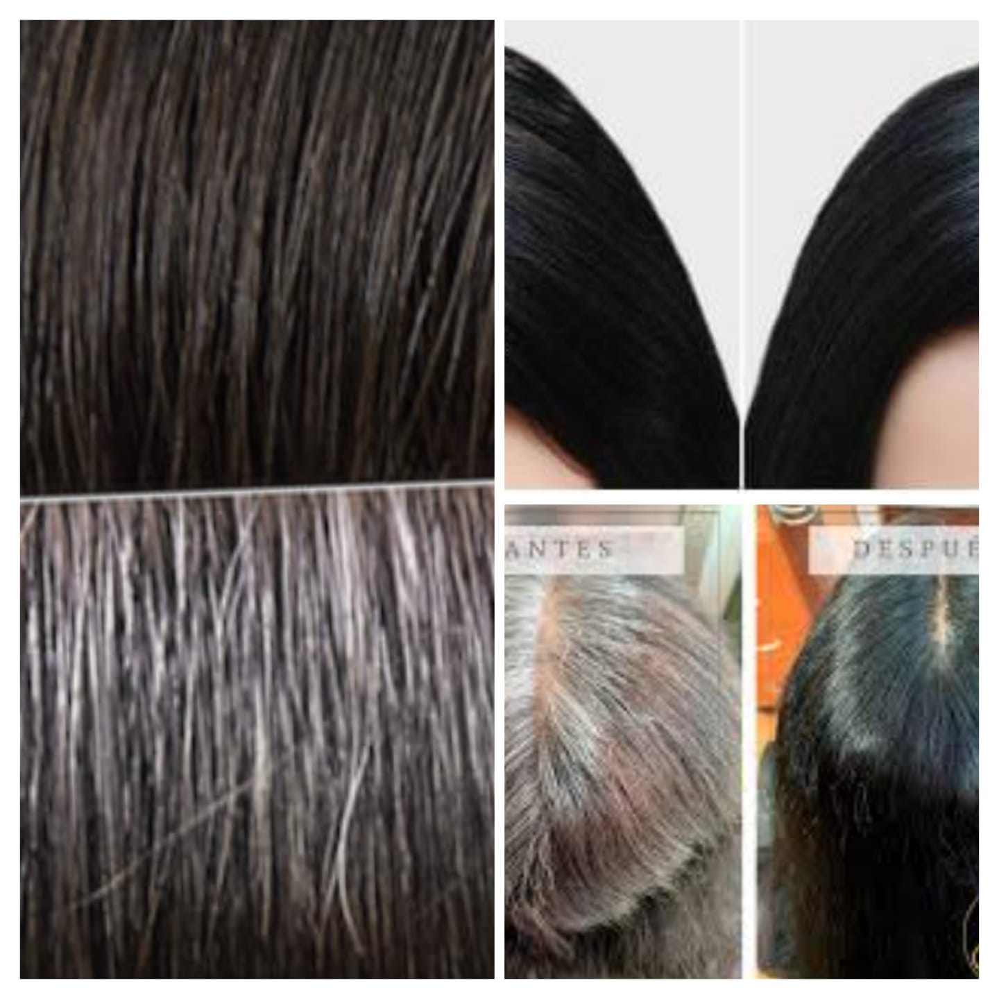 SHAMPOO CUBRE CANAS TARRO 400ML