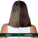 SHAMPOO CUBRE CANAS SACHETX10