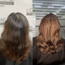 SHAMPOO CUBRE CANAS TARRO 400ML